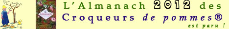 Bannière